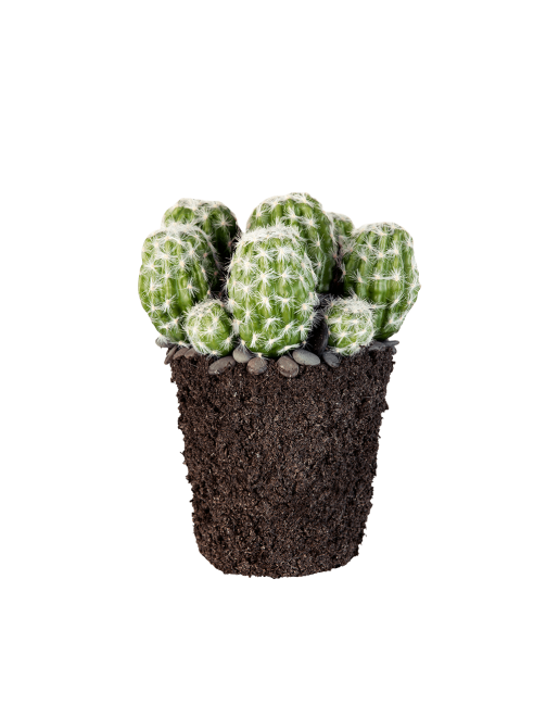 Kaktus sztuczny Lene Bjerre